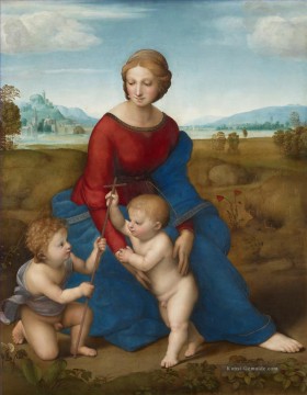 Raphael Werke - Madonna von Belvedere Madonna del Prato Renaissance Meister Raphael